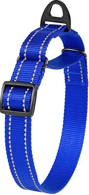 Show full view: CollarDirect Reflective Martingale Nylon Dog Collar, Blue, Large slide 3 of 7
