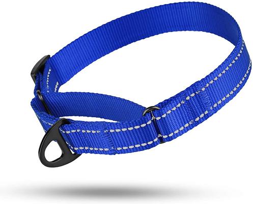 Show full view: CollarDirect Reflective Martingale Nylon Dog Collar, Blue, Large slide 5 of 7