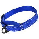 CollarDirect Reflective Martingale Nylon Dog Collar, Blue, Medium