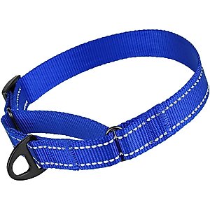 CollarDirect Reflective Martingale Nylon Dog Collar, Blue, Small