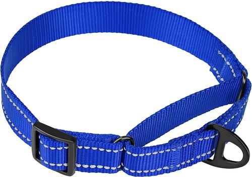 Show full view: CollarDirect Reflective Martingale Nylon Dog Collar, Blue, Small slide 2 of 7