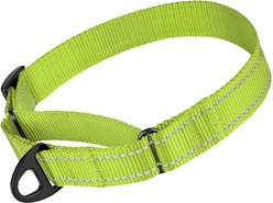 CollarDirect Reflective Martingale Nylon Dog Collar, Lime Green, Large