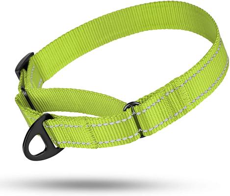 Show full view: CollarDirect Reflective Martingale Nylon Dog Collar, Lime Green, Small slide 5 of 7