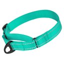 CollarDirect Reflective Martingale Nylon Dog Collar, Mint Green, Large