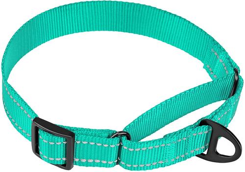 Show full view: CollarDirect Reflective Martingale Nylon Dog Collar, Mint Green, Large slide 2 of 7