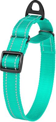 Show full view: CollarDirect Reflective Martingale Nylon Dog Collar, Mint Green, Large slide 3 of 7
