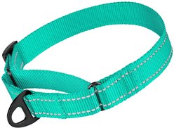 CollarDirect Reflective Martingale Nylon Dog Collar, Mint Green, Medium