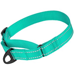 CollarDirect Reflective Martingale Nylon Dog Collar, Mint Green, Medium