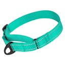 CollarDirect Reflective Martingale Nylon Dog Collar, Mint Green, Medium