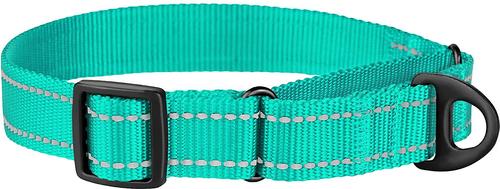 Show full view: CollarDirect Reflective Martingale Nylon Dog Collar, Mint Green, Medium slide 4 of 7