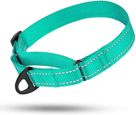 Show full view: CollarDirect Reflective Martingale Nylon Dog Collar, Mint Green, Medium slide 5 of 7