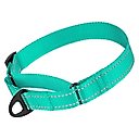 CollarDirect Reflective Martingale Nylon Dog Collar, Mint Green, Small