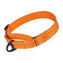 CollarDirect Reflective Martingale Nylon Dog Collar, Orange, Large