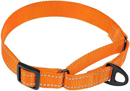 Show full view: CollarDirect Reflective Martingale Nylon Dog Collar, Orange, Small slide 2 of 7