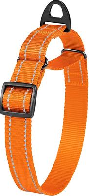 Show full view: CollarDirect Reflective Martingale Nylon Dog Collar, Orange, Small slide 3 of 7
