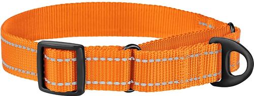 Show full view: CollarDirect Reflective Martingale Nylon Dog Collar, Orange, Small slide 4 of 7