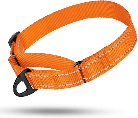Show full view: CollarDirect Reflective Martingale Nylon Dog Collar, Orange, Small slide 5 of 7