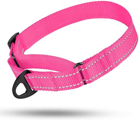 Show full view: CollarDirect Reflective Martingale Nylon Dog Collar, Pink, Large slide 6 of 8