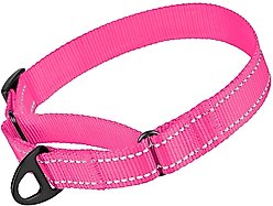 CollarDirect Reflective Martingale Nylon Dog Collar, Pink, Medium
