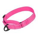 CollarDirect Reflective Martingale Nylon Dog Collar, Pink, Small