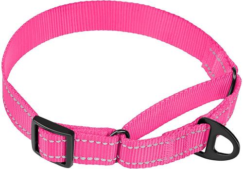 Show full view: CollarDirect Reflective Martingale Nylon Dog Collar, Pink, Small slide 2 of 7