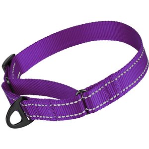 CollarDirect Reflective Martingale Nylon Dog Collar, Purple, Large
