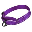 CollarDirect Reflective Martingale Nylon Dog Collar, Purple, Large