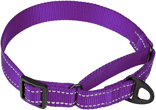 Show full view: CollarDirect Reflective Martingale Nylon Dog Collar, Purple, Large slide 2 of 7