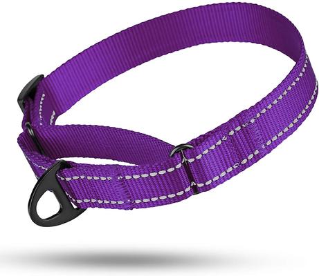 Show full view: CollarDirect Reflective Martingale Nylon Dog Collar, Purple, Large slide 5 of 7