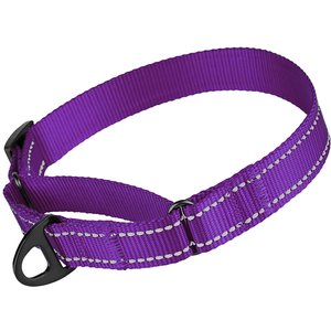CollarDirect Reflective Martingale Nylon Dog Collar, Purple, Medium