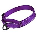 CollarDirect Reflective Martingale Nylon Dog Collar, Purple, Medium