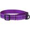 Show in main carousel: CollarDirect Reflective Martingale Nylon Dog Collar, Purple, Medium slide 4 of 7