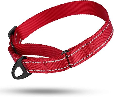 Show full view: CollarDirect Reflective Martingale Nylon Dog Collar, Red, Medium slide 5 of 7