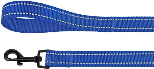 Show full view: CollarDirect Reflective Nylon Dog Leash, 5-ft, Blue, Large slide 3 of 6