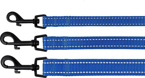 Show full view: CollarDirect Reflective Nylon Dog Leash, 5-ft, Blue, Large slide 5 of 6