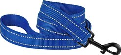 CollarDirect Reflective Nylon Dog Leash, 5-ft, Blue, Medium