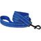 Show in main carousel: CollarDirect Reflective Nylon Dog Leash, 5-ft, Blue, Medium slide 1 of 6