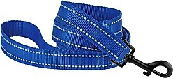CollarDirect Reflective Nylon Dog Leash, 5-ft, Blue, Small