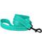 Show in main carousel: CollarDirect Reflective Nylon Dog Leash, 5-ft, Mint Green, Medium slide 1 of 7