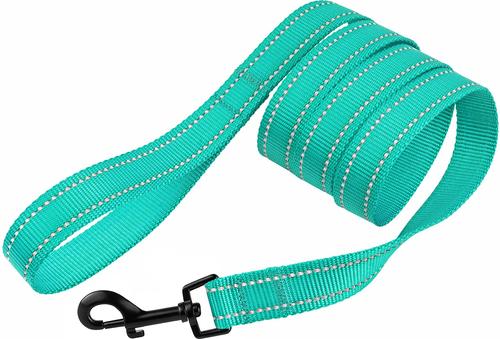 Show full view: CollarDirect Reflective Nylon Dog Leash, 5-ft, Mint Green, Medium slide 3 of 7