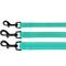 Show in main carousel: CollarDirect Reflective Nylon Dog Leash, 5-ft, Mint Green, Medium slide 6 of 7
