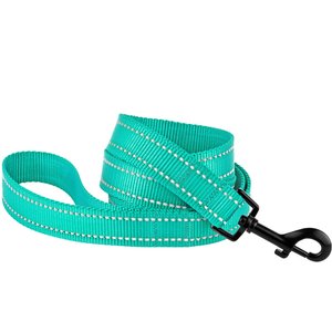 CollarDirect Reflective Nylon Dog Leash, 5-ft, Mint Green, Small