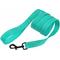 Show in main carousel: CollarDirect Reflective Nylon Dog Leash, 5-ft, Mint Green, Small slide 2 of 6