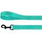 Show in main carousel: CollarDirect Reflective Nylon Dog Leash, 5-ft, Mint Green, Small slide 3 of 6