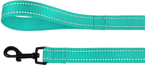 Show full view: CollarDirect Reflective Nylon Dog Leash, 5-ft, Mint Green, Small slide 3 of 6