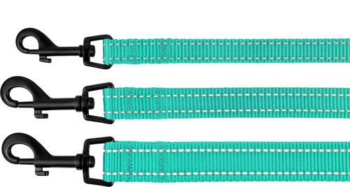 Show full view: CollarDirect Reflective Nylon Dog Leash, 5-ft, Mint Green, Small slide 5 of 6
