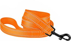 CollarDirect Reflective Nylon Dog Leash, 5-ft, Orange, Large