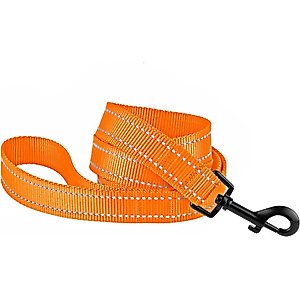 CollarDirect Reflective Nylon Dog Leash, 5-ft, Orange, Large
