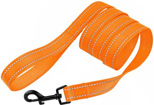 Show full view: CollarDirect Reflective Nylon Dog Leash, 5-ft, Orange, Large slide 2 of 6