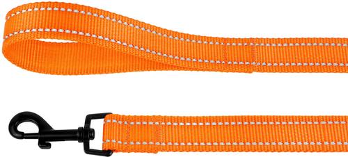 Show full view: CollarDirect Reflective Nylon Dog Leash, 5-ft, Orange, Large slide 3 of 6
